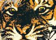 Quiz ''Eye Of The Tiger'' de Survivor