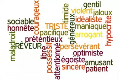 Quelle est ta plus grande qualité ?