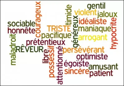 Quel est ton plus gros défaut ?