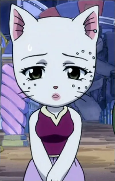 Quel est le nom de ce personnage ?