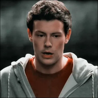 Qui a joué Finn Hudson ?