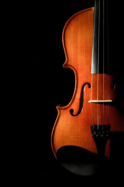 Combien de cordes le violon contient-il ?