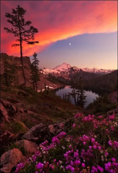 J'aime quand tout bouge à mon rythme comme si je me trouvais en Cosmopolitanie, parfois je ne suis pas drôle mais mon costume coloré de clown me rend ridicule et me colle, il n'empêche que je ne raisonne pas comme les autres, mes rêves ne sont pas trop dans la norme et j'ai tant souffert sur les bancs de l'école de cette différence...