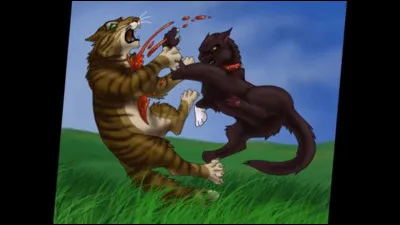 Quelle technique de combat est la plus efficace lors d'un écrasement ?