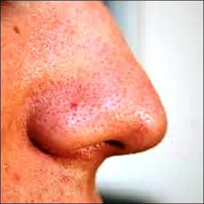 Quel mot peut désigner aussi bien lodorat que lintuition ?