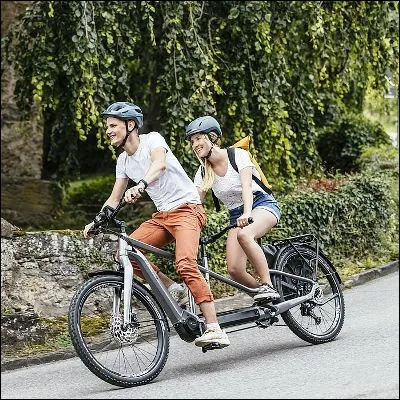 Quelle chanteuse a sorti le single "Tandem", écrit par Serge Gainsbourg ?