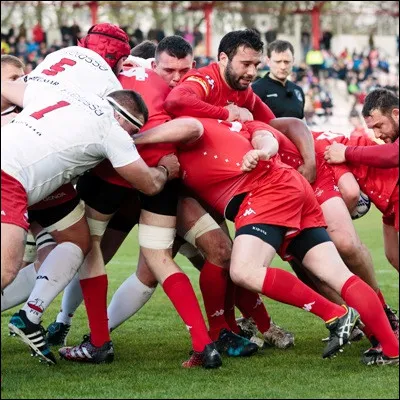 Quel rugbyman français, double champion de France et vainqueur de la Coupe dEurope avec le Stade toulousain, a été élu meilleur rugbyman du monde de lannée 2021 ?