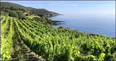 Laquelle de ces chanteuses française est née en Corse ?