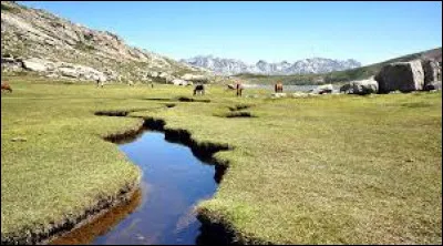 À quel célèbre écrivain français doit-on le roman "Les Frères corses" ?