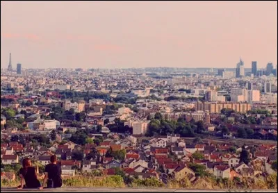Depuis quel site a été prise cette vue de Paris ?