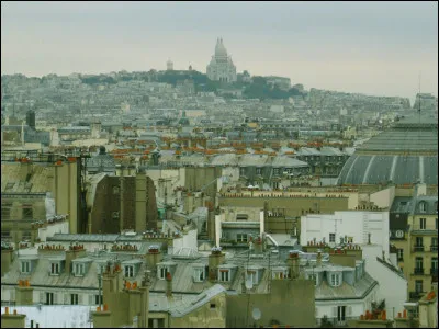 Depuis quel site a été prise cette vue de Paris ?