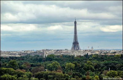 Depuis quel site a été prise cette vue de Paris ?