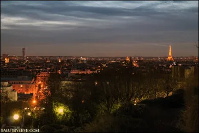 Depuis quel site a été prise cette vue de Paris ?