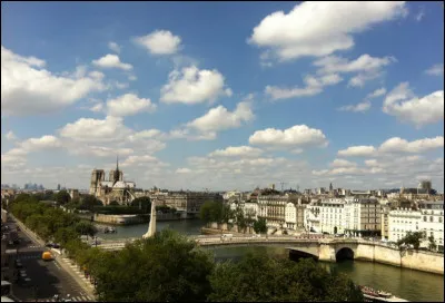Depuis quel site a été prise cette vue de Paris ?