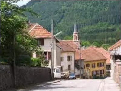 Nous sommes dans le Grand-Est, &agrave; Raon-sur-Plaine. Village de la vall&eacute;e de la Celle, au pied du Donon, il se situe dans le d&eacute;partement ...