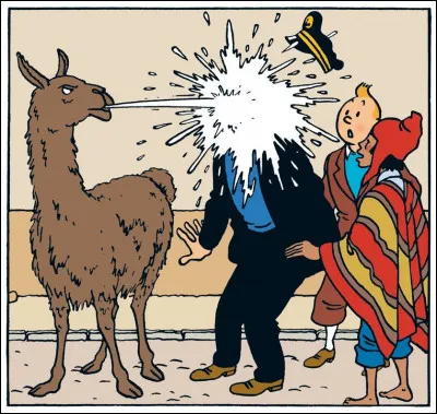 La qualité de l'haleine peut également orienter vers un diagnostic médical. Une haleine d'amande amère (bien que rarement retrouvée au final...) vous orientera vers...