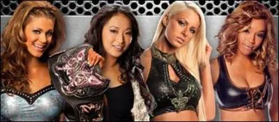 Eve vs Gail Kim vs Maryse vs Alicia Fox : qui est la gagnante pour le titre des Divas ?