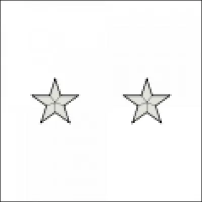 La plaque ronde qui servait de modèle au monnayeur pour fabriquer une pièce avait pour nom...