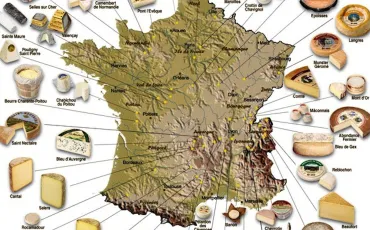 Quiz Regions