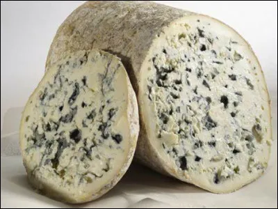 La fourme d'Ambert est produite dans le Limousin.