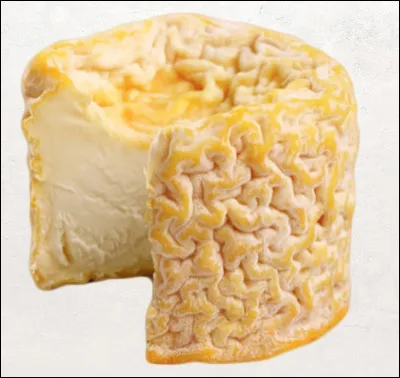 Le langres est produit dans le Périgord