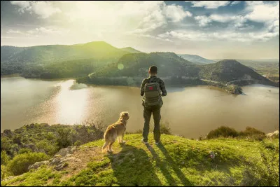 Comment imagines-tu ta future vie professionnelle ?