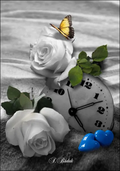 Si lors du dernier concours des créateurs organisé sur Quizz.biz, votre absence a été très remarquée car vous n'avez pas participé, bien que vous soyez un fidèle adepte des concours, que dire ?