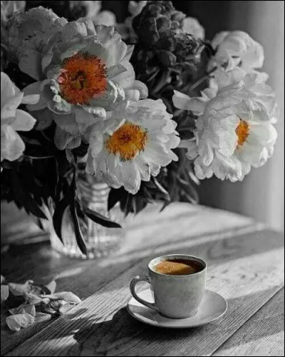 Qui chantait "Je t'appelle et tu ne viens pas, ton absence est entrée chez moi" ?