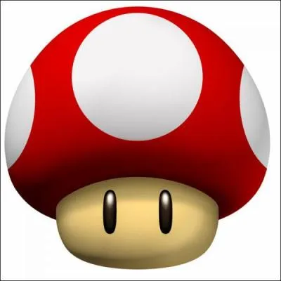 Dans le dernier Super Mario Bros, il doit aussi sauver un autre personnage en le portant le long d'un niveau sur ses paules, qui est-ce ?