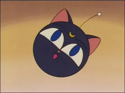 Que peut faire Luna Ball ?