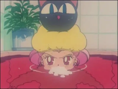 Que va faire cette petite fille (qui va se faire appeler "Camille") pour vivre dans la maison de Bunny ?