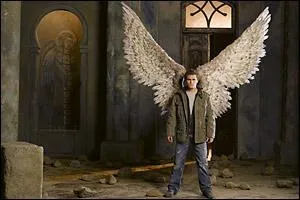 Qui est Paul Wesley dans Fallen ?
