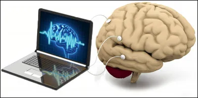 Qui est le cerveau de l'ordinateur ?