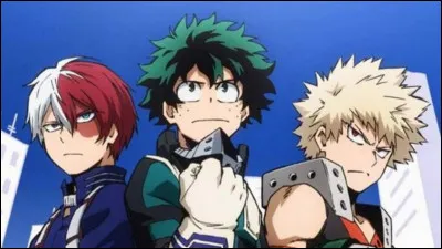 Qui serait ton crush ?