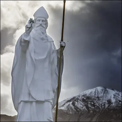 Quelle est la couleur portée à la st Patrick ?