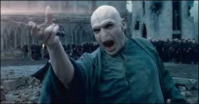 En quelle année a été tourné le dernier Harry Potter ?