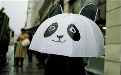 Quelle est la version de "parapluie" en japonais ?