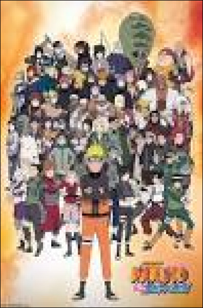 Quels sont les deux camarades de l'&eacute;quipe de Naruto ?