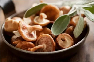 Peut-on manger tous les champignons ?