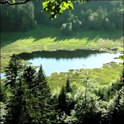 Quel groupe a sorti la chanson "L�Hymne de nos campagnes" ?