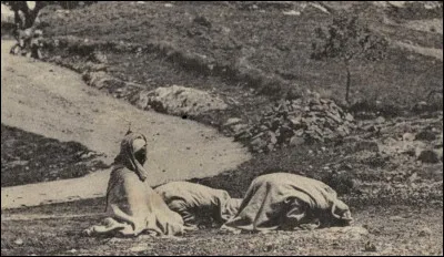 Agent qui fit tort aux vaches, c'est le...