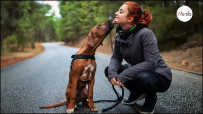 Leurre légal, c'est l'...
