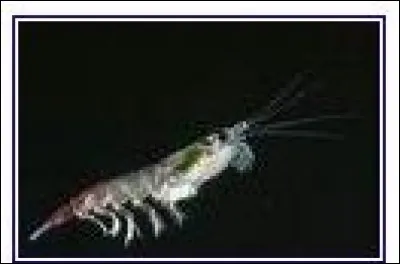 Place de la résistance, c'est le...