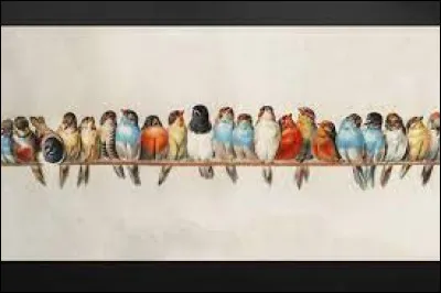 Quelle actrice est à l'affiche du film d'Alfred Hitchcock "Les Oiseaux" ?