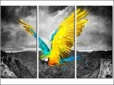 Qui a composé la musique du ballet "L'Oiseau de feu" ?