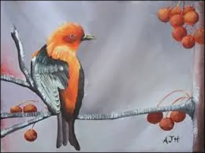 Sur quel continent le colibri, également appelé oiseau-mouche, vit-il uniquement ?