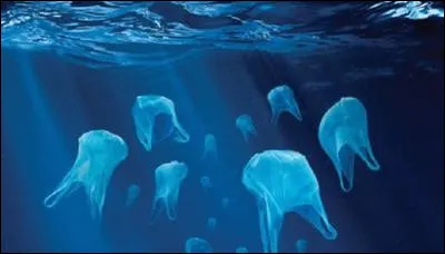 Avec quel animal marin les sacs plastiques sont-ils confondus ?