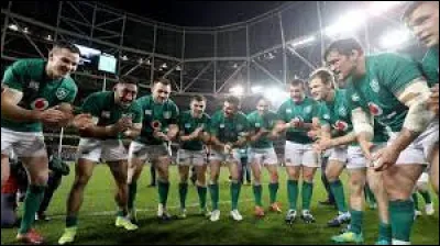 Quel est le symbole de l'équipe de rugby à XV irlandaise ?