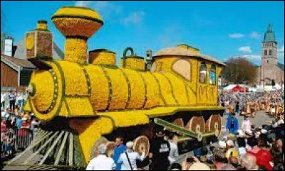 Dans quelle ville du département des Vosges a lieu tous les 2 ans la Fête des Jonquilles ?