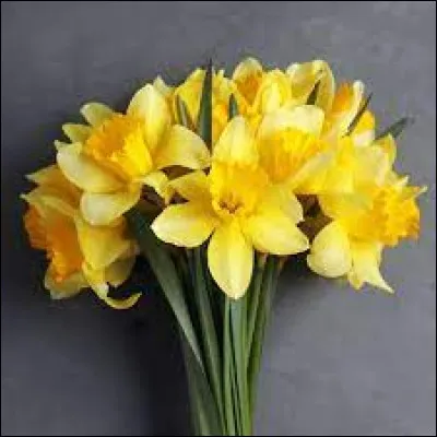 À quoi doit-on le poème "La jonquille et l'églantier" ?